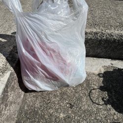 清掃活動：三連休最終日