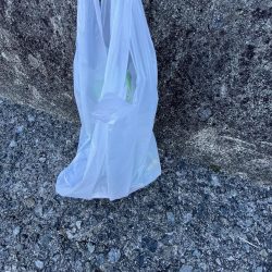 清掃活動：中秋の満月とアオリさん