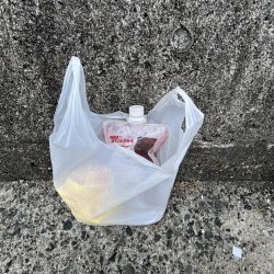 清掃活動：安心のアジ！！！