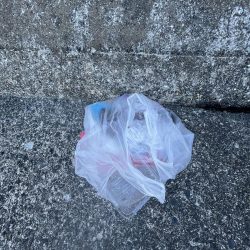 清掃活動：安定のアジ