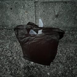 清掃活動：安定のアジ②