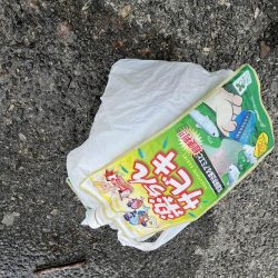 清掃活動：渋い日