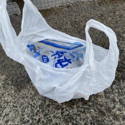 清掃活動：アジしか勝たん④