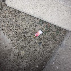 清掃活動：9ヶ月ぶりのご対面！