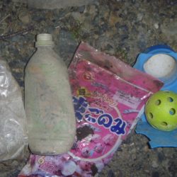 清掃活動：夏の戻り？バス