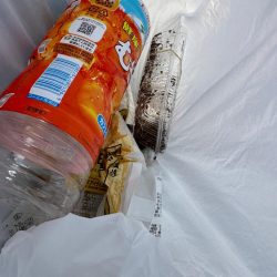 清掃活動：久しぶりのキス釣り