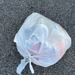 清掃活動：渋いなかエビ撒きでおチヌさん