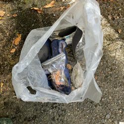 清掃活動：今期ラストの渓流釣行