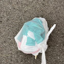 清掃活動：おチヌさんとデカあじ