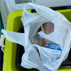 清掃活動：船タチウオ好調