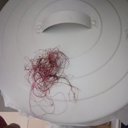 清掃活動：朝マズメ前からエギング　