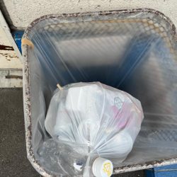 清掃活動：エビ撒きでおチヌさん