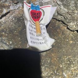 清掃活動：2024 佐渡ヶ島エギング 5回…