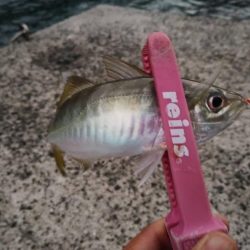 ちょっとサイズアップ?