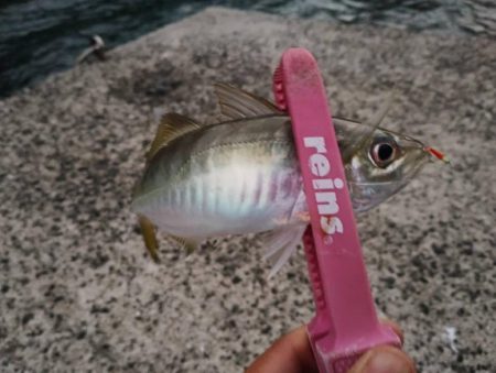 ちょっとサイズアップ?