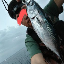 スマガツオ釣れました!