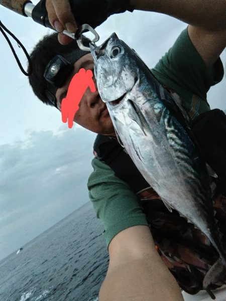 スマガツオ釣れました!