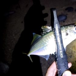 フロートアジング