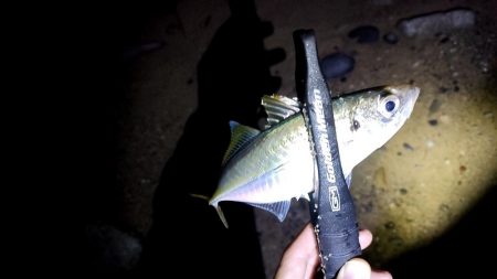 フロートアジング