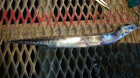 想像通りの状況