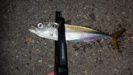 気が抜けてますわ。