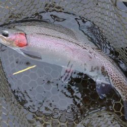 雨の平谷湖フィッシングスポットでエキスパー…