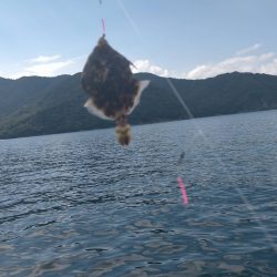 舞鶴親海公園での五目釣り