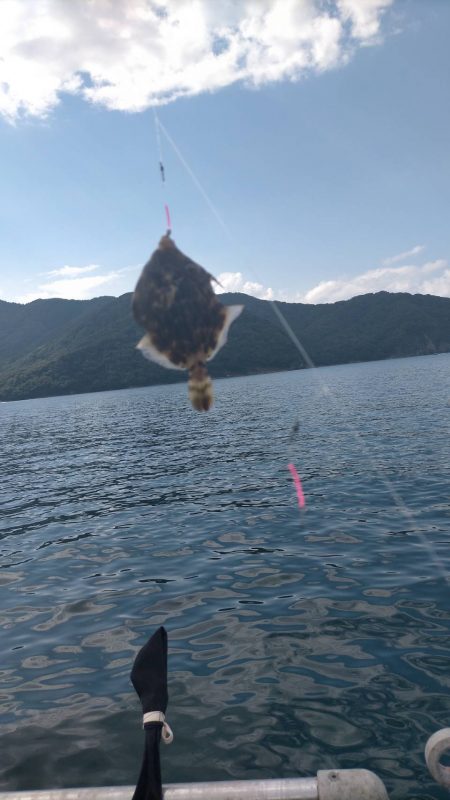 舞鶴親海公園での五目釣り