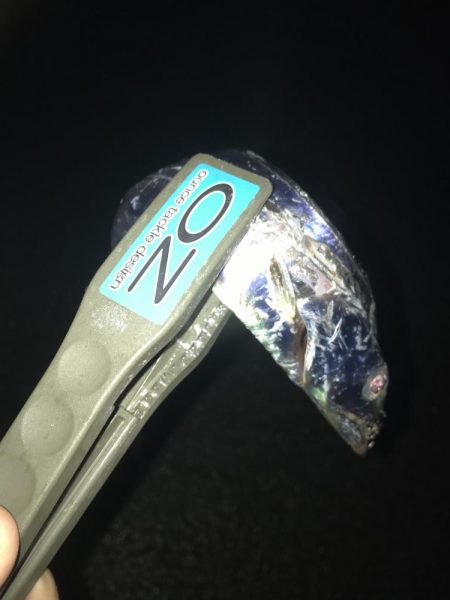 朝マズメにワームで太刀魚9匹GET