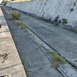 青物【激熱】ゴミは絶対に捨てないで~!