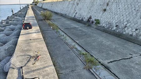 青物【激熱】ゴミは絶対に捨てないで~!