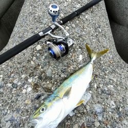 ショアジギング