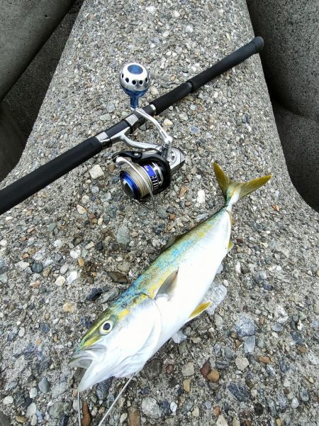 ショアジギング