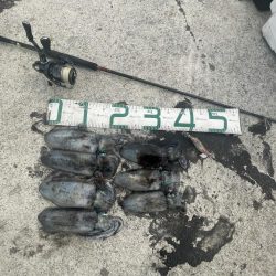 2024 佐渡ヶ島エギング 16回目【9月28日】