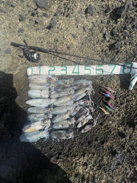 2024 佐渡ヶ島エギング 17回目【9月…