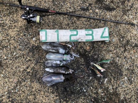 2024 佐渡ヶ島エギング 20回目【10…