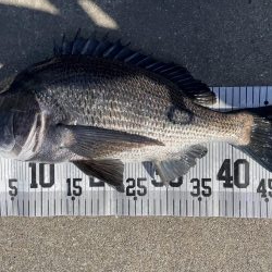 イチノ兄弟、釣果!