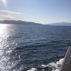 エギング 佐渡遠征⑥