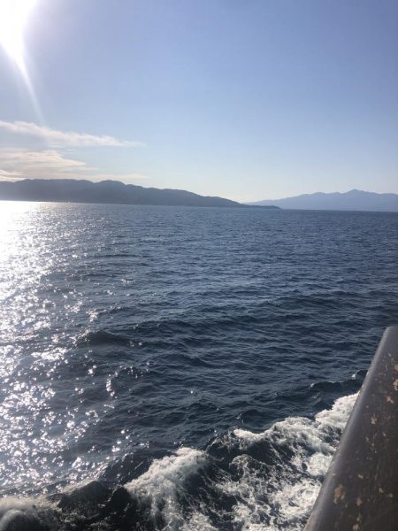 エギング 佐渡遠征⑥