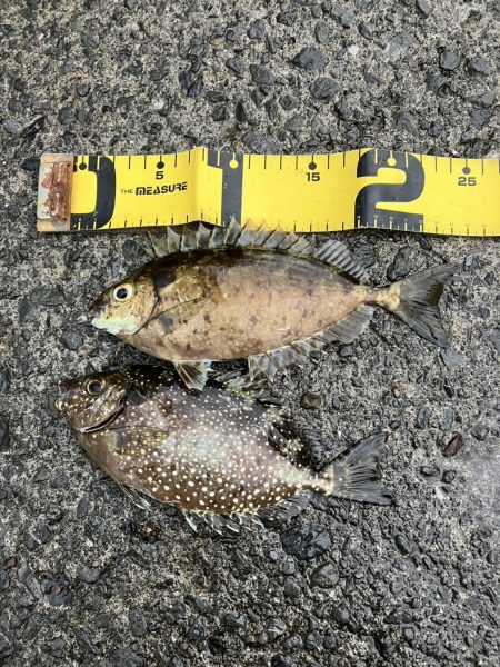 プチファミリーフィッシング🎣…