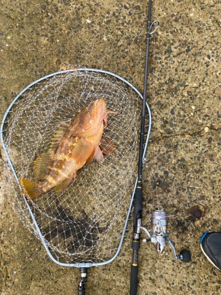 デカいヤツしかあたらない日