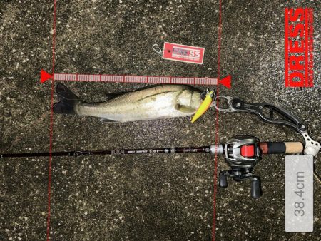 雨ニモマケズ…