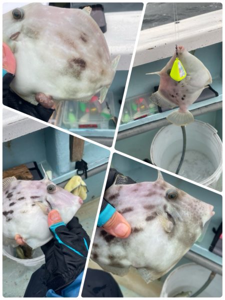 いつも悪天候(苦笑)