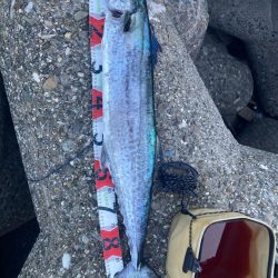 人生最大魚!2024ライトゲーム第34戦