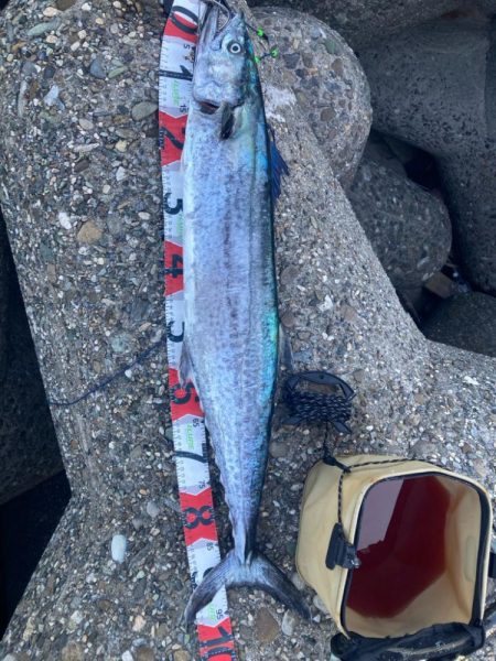 人生最大魚!2024ライトゲーム第34戦