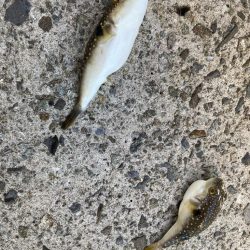 10月中旬だけでまだまだ暑い