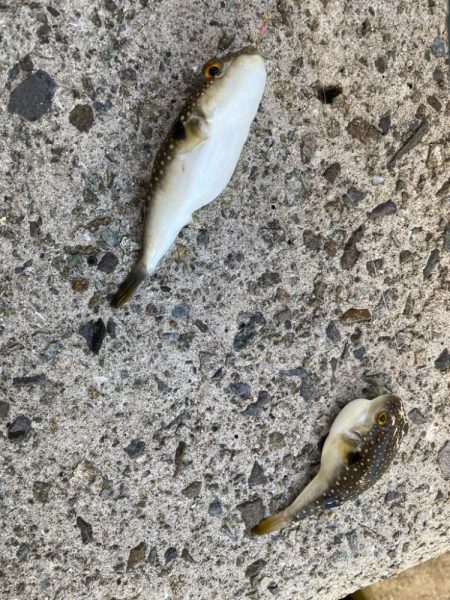 10月中旬だけでまだまだ暑い