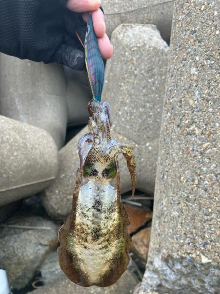 秋🦑　デイエギング②(^^…