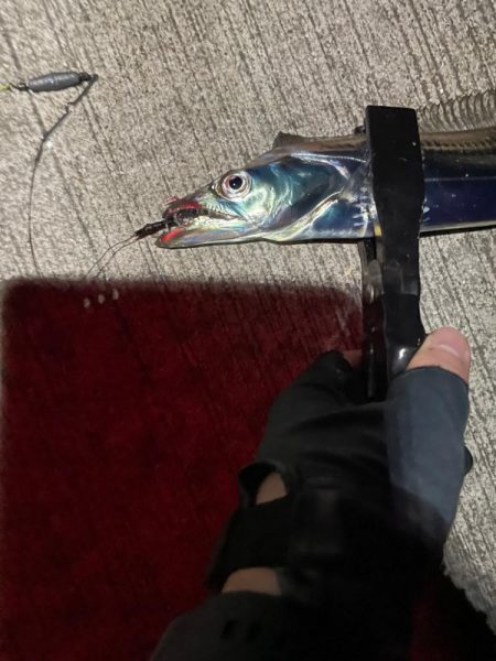 太刀魚浮き釣り