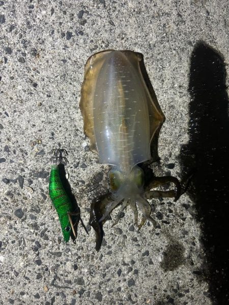 気持ちいい🎣ἲ…